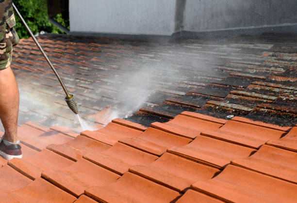 Best Roof Power Washing Services  in South Pottstown, PA
